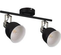 Настенно-потолочный светильник KANLUX derato el-2i b-sr 35642