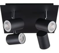 Настенно-потолочный светильник KANLUX evalo el-4o b-sr 35697