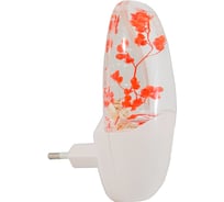 Светодиодный светильник-ночник СТАРТ NL 1LED барбарис