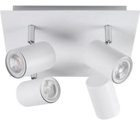 Настенно-потолочный светильник KANLUX evalo el-4o w-sr 35696