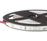 Светодиодная лента ELF 300SMD диодов 3014, 12В, 5 м, белая 300SMD3014NWW 4