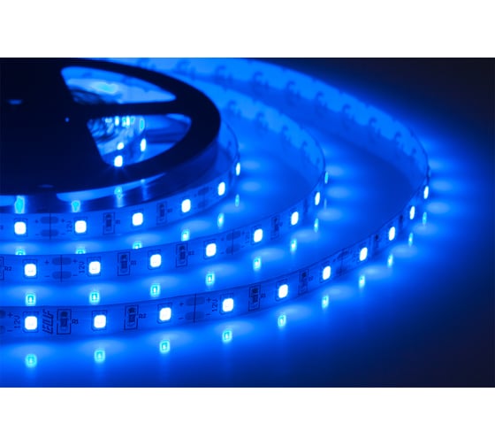 Светодиодная лента ELF 300SMD диодов 2835, 12В, 5 м, синяя 300SMD2835NWB