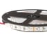 Светодиодная лента ELF 300SMD диодов 2835, 12В, 5 м, синяя 300SMD2835NWB 4