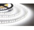 Светодиодная лента ELF 600SMD диодов 2835, 24В, 5 м, ГИПЕР, белая ELF-600SMD2835NWW-Hy24 2