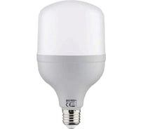 Светодиодная лампа HOROZ ELECTRIC TORCH-30 001-016-0030 30W 4200K E27 175-250V HRZ00002801