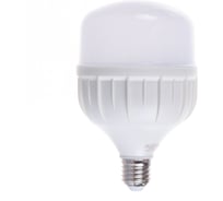 Лампа Gauss Elementary LED T100 E27 32W 2700lm 180-240V 6500K 63233