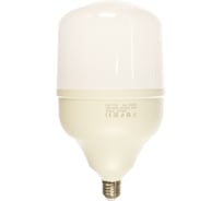 Светодиодная лампа Gauss Elementary T140 50W 4500lm 6500K E27 LED 1/8 63235