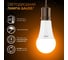 Светодиодная Лампа Gauss A60 16W 1440lm 3000K E27 LED 102502116 5