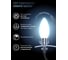 Лампа Gauss LED Filament Свеча OPAL E14 5W 450Лм 4100К SQ 103201205 4