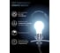 Лампа Gauss LED Filament A60 OPAL E27 10W 860Лм 4100К SQ 102202210 7