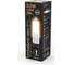 Лампа Gauss LED G9 AC220-240V 3.5W 240lm 3000K Glass 107809103 4