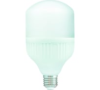 Светодиодная лампа высокой мощности СОЮЗ SLED-SMD2835-Т100-30Вт-2700Лм-220В-6500К-E27 1343