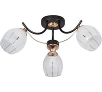 Потолочный светильник ESCADA E27*60W Black 1104/3P