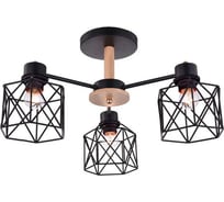 Потолочный светильник ESCADA E27*60W Black 508/3PL