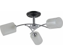 Потолочный светильник ESCADA E27*60W Chrome/Black 1170/3P
