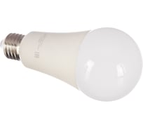 Лампа Gauss LED Elementary A67 30W E27 6500K 1/10/50 SQ 73239