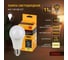 Светодиодная лампочка KODAK led a60-11w-830-e27 е27, 11вт, груша, теплый белый свет Б0057605 4