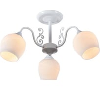 Потолочный светильник ESCADA E27*60W White 1120/3P