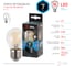 Светодиодная лампа ЭРА F-LED P45-7W-840-E27 филамент, шар, нейтральный Б0027949 4