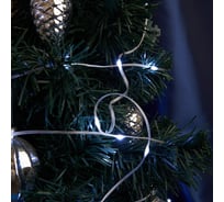 Светодиодная гирлянда FERON cl577 линейная роса 220v 5000к c питанием от сети 48617