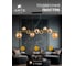 Подвесной светильник ARTE LAMP A2243SP-9P A2243SP-9PB 5