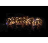 Гирлянда TEAMPROF 5 Нитей по 20 м, флэш, теплый белый TPF-S5х20F-B/WW