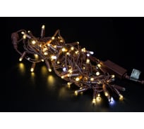 Гирлянда TEAMPROF Нить 10 м, 24В, флэш, колпачок, теплый белый, коричневый провод TPF-S10CF-24V-CBz/WW