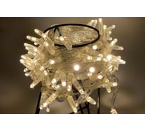 Гирлянда TEAMPROF Нить 10 м, 24В, колпачок, теплый белый, прозрачный провод TPF-S10C-24V-CT/WW