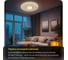 Светильник Citilux Санта LED с пультом CL723680G 10