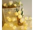 Светодиодная гирлянда Homium Glow, Розы, 10 LED, 2м, на батарейках ny00013 2