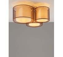 Потолочный светильник Moderli room хром, коричневый V10623-3C