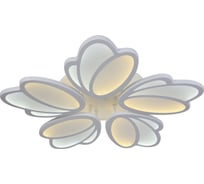 Потолочный светодиодный светильник Moderli manarola белый V10644-CL