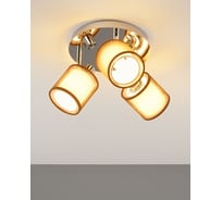 Потолочный светильник Moderli room хром, коричневый V10627-3C