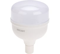 Светодиодная высокомощная лампа REXANT COMPACT, 50Вт, E27 с переходником на E40, 4750Лм, 6500K, холодный свет 604-154