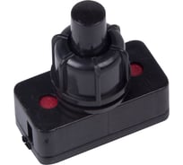 Выключатель-кнопка REXANT 250v 1а (2с) on-off черный (pbs-17a2) (для настольной лампы) 36-3011