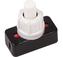 Выключатель-кнопка REXANT 250v 1а (2с) on-off белый (pbs-17a2) (для настольной лампы) 36-3010