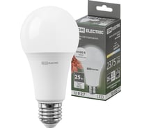 Светодиодная лампа TDM ELECTRIC А65 25 Вт, 230 В, 6500 К, E27 SQ0340-0498