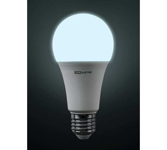 Светодиодная лампа TDM ELECTRIC А65 25 Вт, 230 В, 6500 К, E27 SQ0340-0498