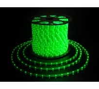 Дюралайт TEAMPROF 2-х провод, 10 мм, зеленый, 220В TPF-DL-2WH-100-10mm-240-G