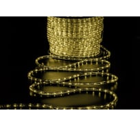 Дюралайт TEAMPROF 2-х провод, теплый белый, 24В TPF-DL-2WH-100-24-WW