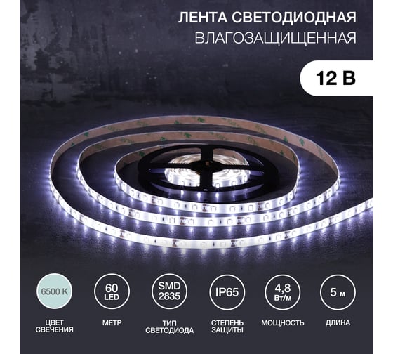 Светодиодная лента Lamper 12в, smd2835, 4,8вт/м, 60 led/м, 6500к, 8мм, 5м, для бп с клеммами, ip65 141-2015