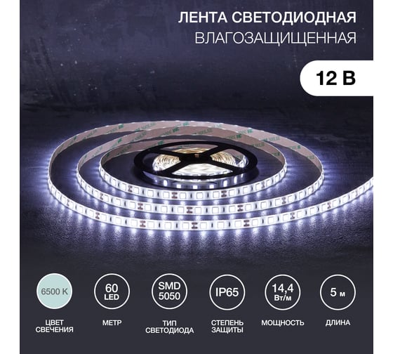 Светодиодная лента Lamper 12в, smd5050, 14,4вт/м, 60 led/м, 6500к, 10мм, 5м, для бп с клеммами, ip65 141-2027