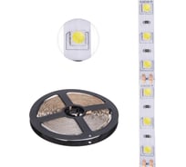 Светодиодная лента Lamper 12в, smd5050, 14,4вт/м, 60 led/м, 6500к, 10мм, 5м, для бп с клеммами, ip20 141-2024