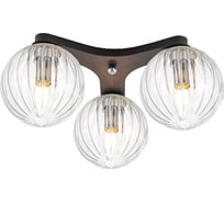 Коптер Черный Св-к Люстра Citilux CL116131