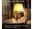 Настольный светильник Citilux Линц Патина+Кремовый CL402723 19