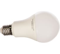 Светодиодная лампа Elektrostandard Classic LED D 17W 4200K E27 a035804