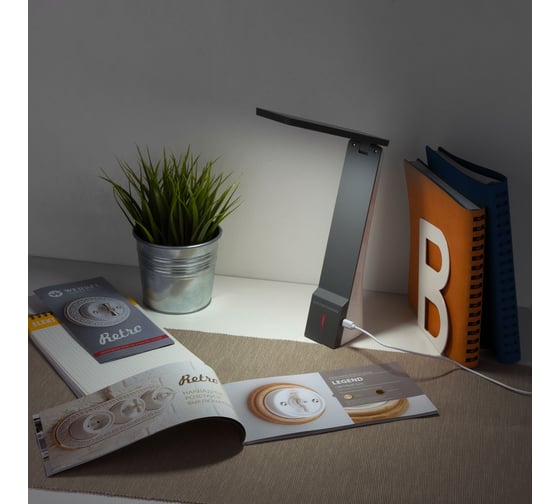 Светодиодный настольный светильник Elektrostandard TL90450 / Desk белый/серый a039416