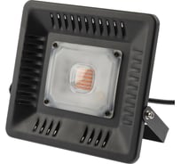 Фитопрожектор для растений светодиодный ЭРА FITO-50W-LED BLUERED для цветения и плодоношения Б0039033