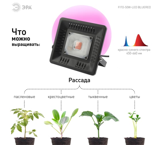 Фитопрожектор для растений светодиодный ЭРА FITO-50W-LED BLUERED  для цветения и плодоношения Б0039033