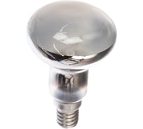 Лампа накаливания, зеркальная матовая Camelion MIC 60/R50/FR/E14 12660